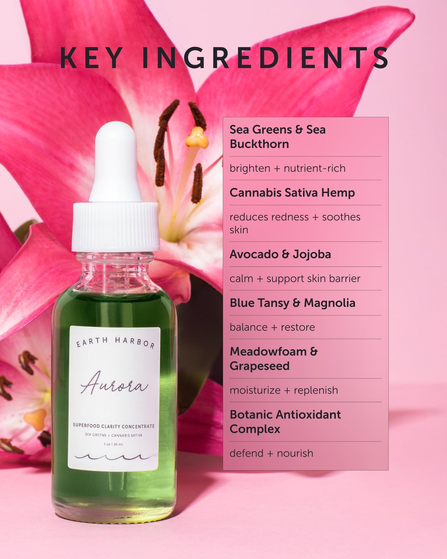 AURORA Superfood Clarity Concentrate